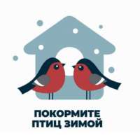                                       Акция «Покормите птиц зимой»