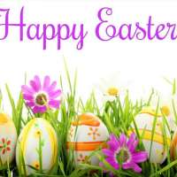 Easter Egg Hunt
