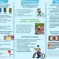 Безопасность детей на дороге — главный приоритет